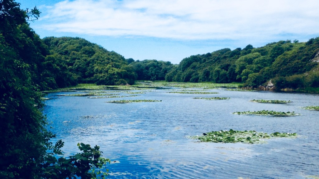 Pembrokeshire Walk 7 ~ Barafundle Bay & Stackpole circular walk – Short ...