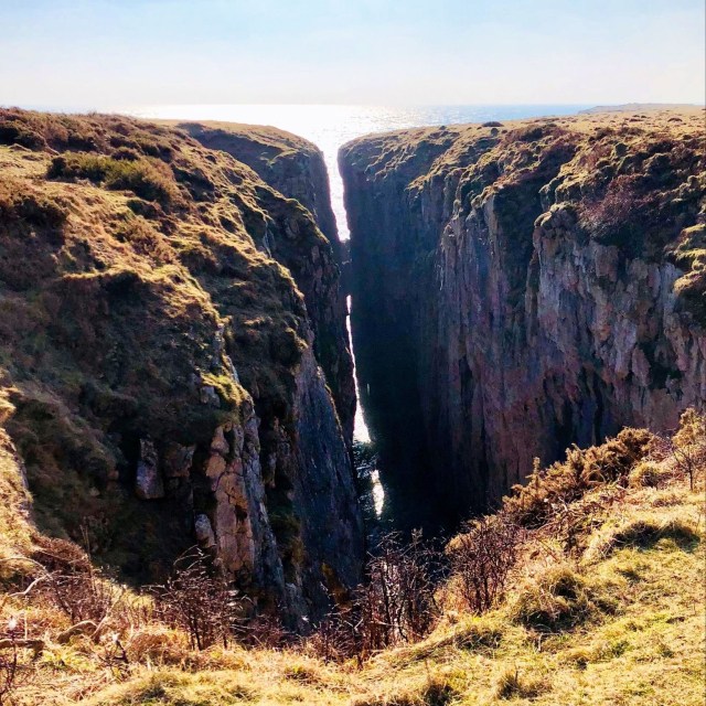 52D61D8D-5A94-4FA1-823A-8ADCA17783AF