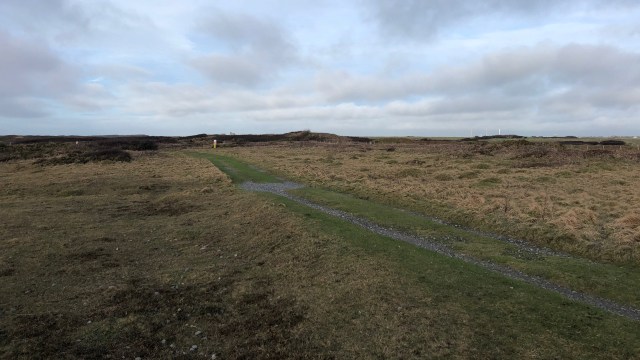 B4941582-76E6-4A6A-A47D-1BF811FBFF0B