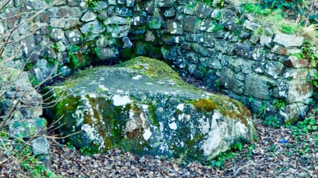 35FDD4CB-0C4C-4105-8F86-73DD86F1C595