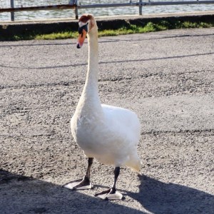 ECA05848-EC31-42CB-8255-FED0FDCF6147