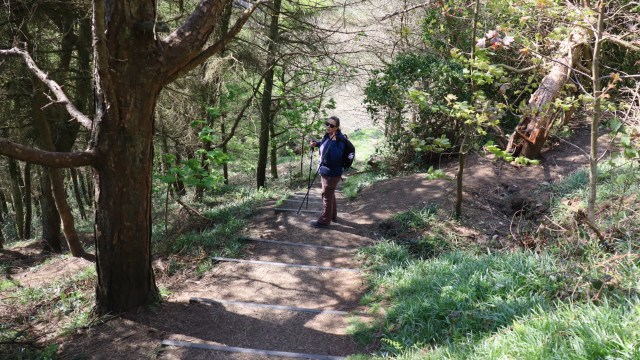 5230D31A-08CC-4F17-AF77-F129DA17427E