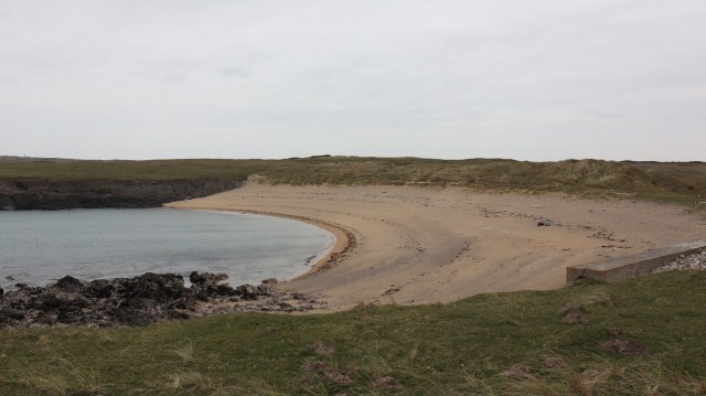 C3327FCA-2180-408E-B4A5-A95F98FA0A72