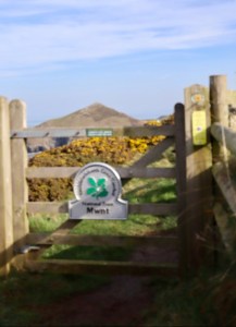 9662A420-E05D-42D1-83AA-70379EF965CE