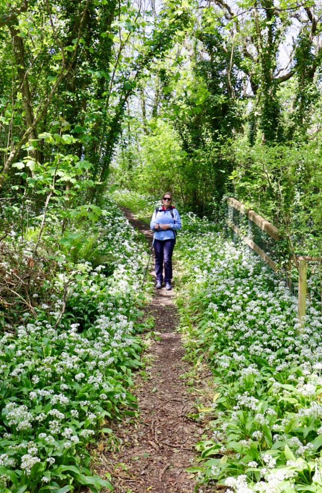 C23023D0-A258-4FF0-A543-AADB4D96A35D