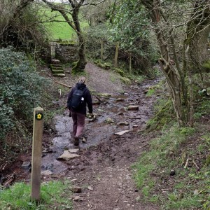 D2015B52-D214-4AB0-B4F4-42E260CA0DCC