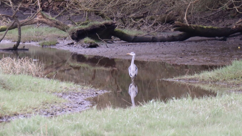 6385939968495319207_img_0946