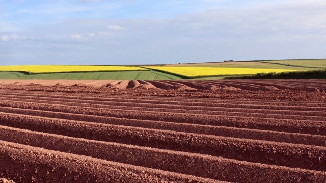 193D84EB-D7B2-44FF-9268-C74E7FB6A816