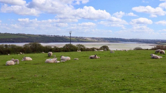 567EE204-ADD1-4C0C-814B-E0001F328ACE