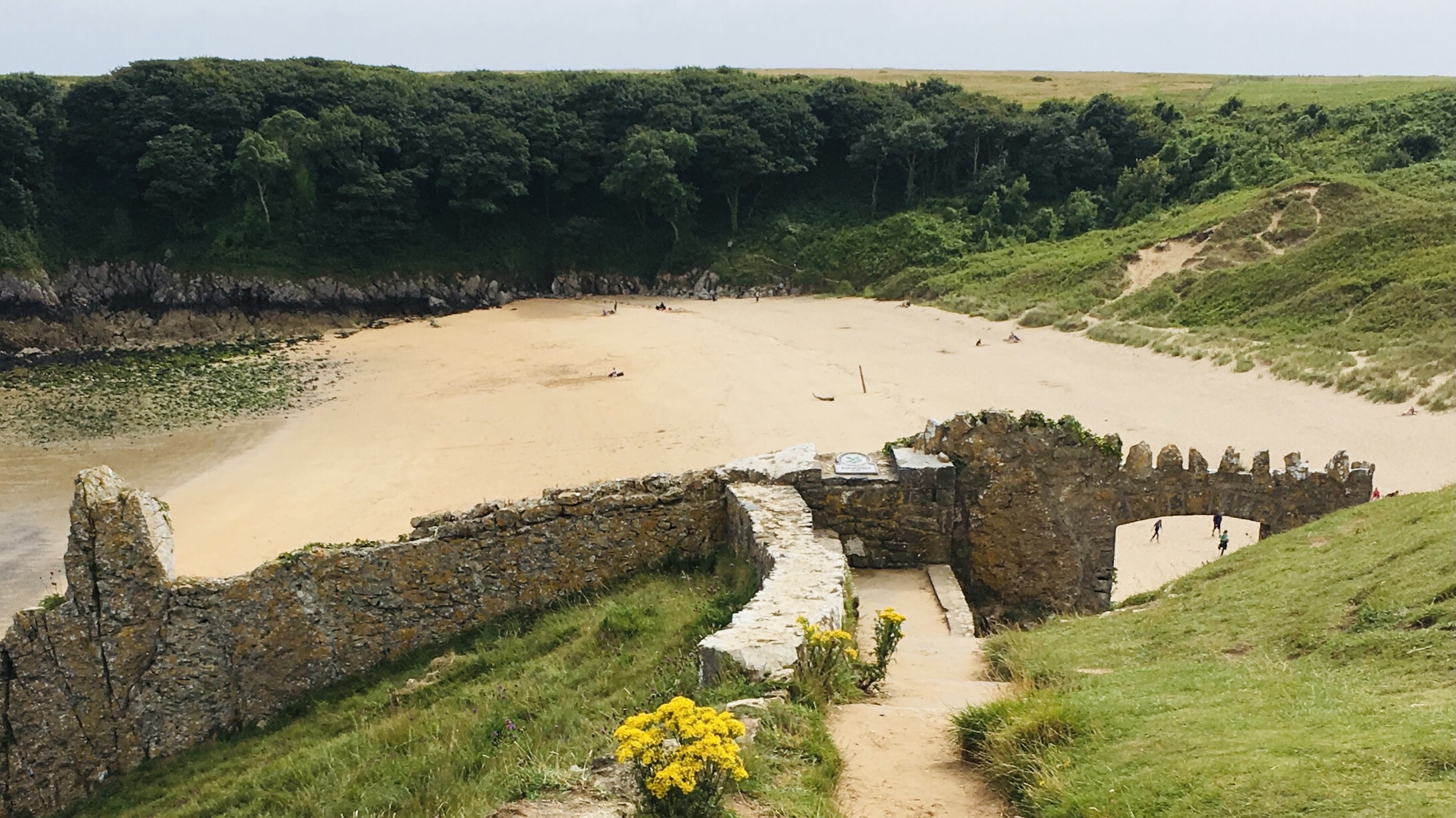 Pembrokeshire Coast ~ Walk 7. Barafundle Bay & Stackpole circular walk ...
