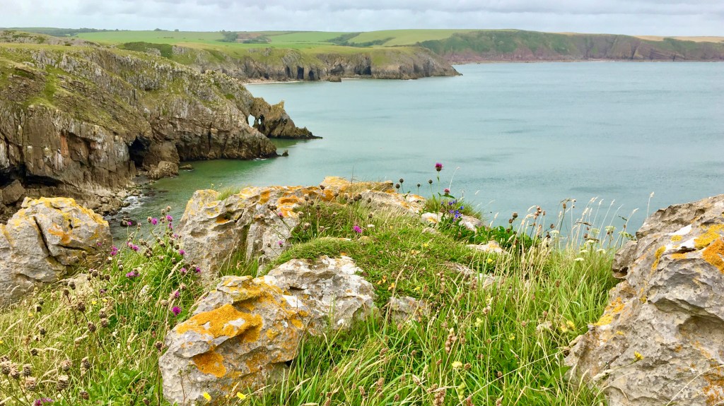 Pembrokeshire Walk 7 ~ Barafundle Bay & Stackpole circular walk – Short ...